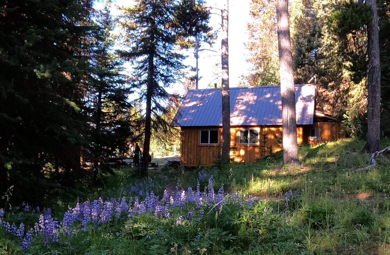 spruce cabin