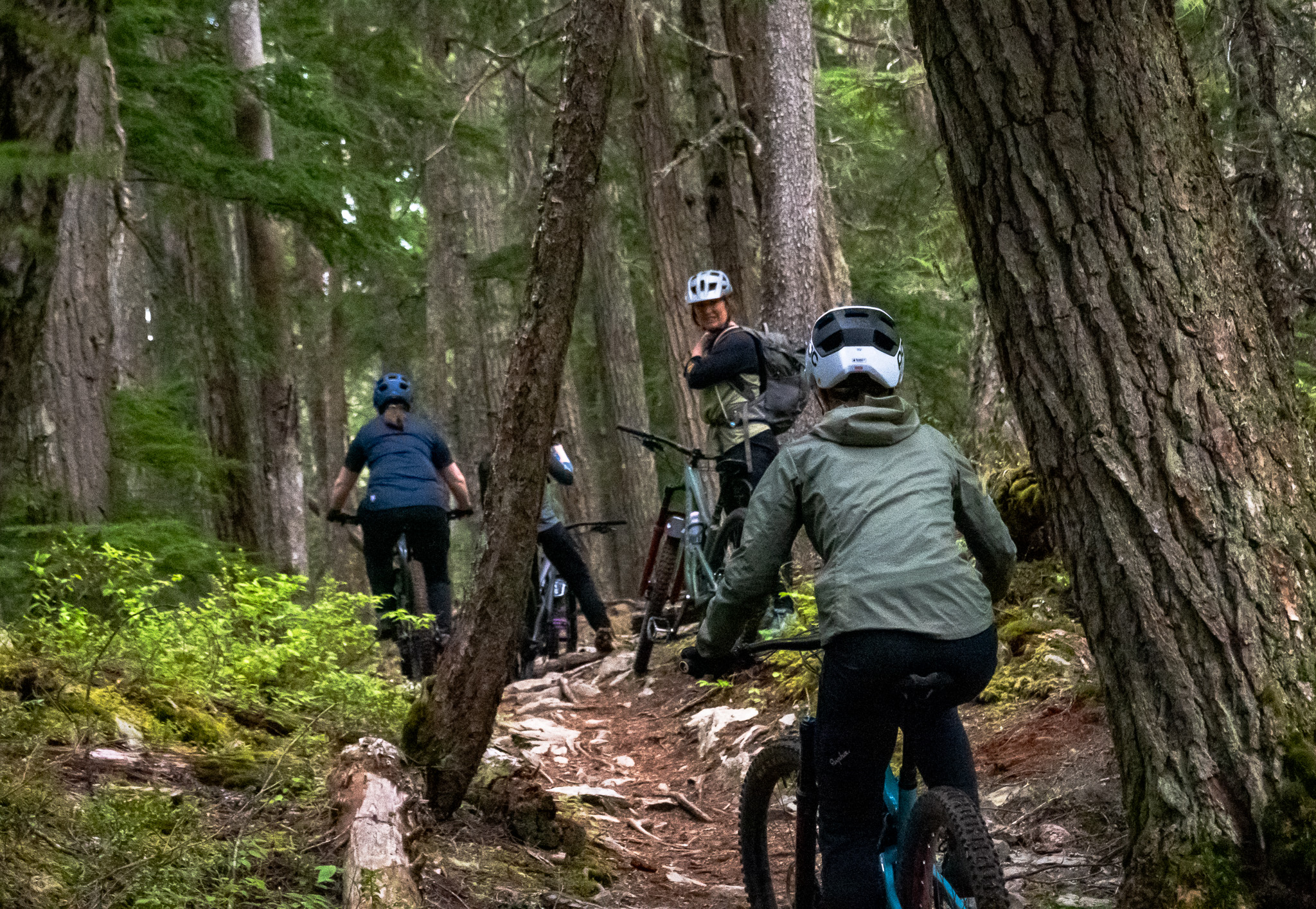 Whistler Beginner Mountain Bike clinic