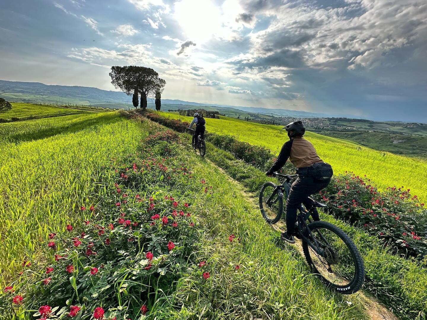 Mountain bike camp in Tuscany Italy riding through golden fields