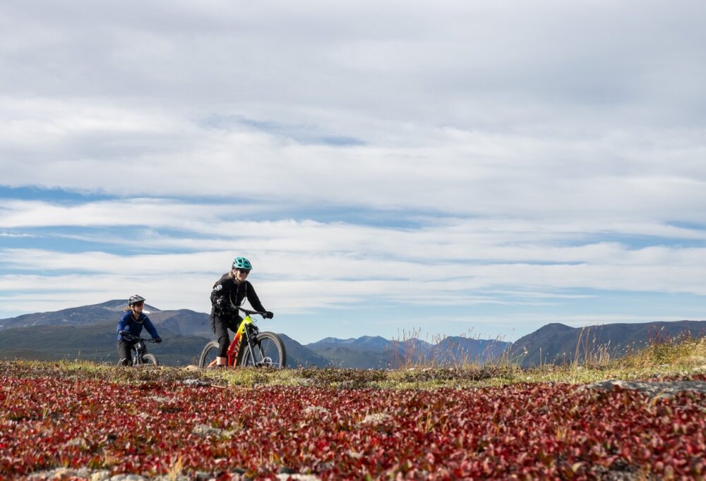 Women mountain biking in the alpine in the Yukon with fall colours and mountains in the background
